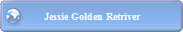 Golden Retriver ( 15 Years )